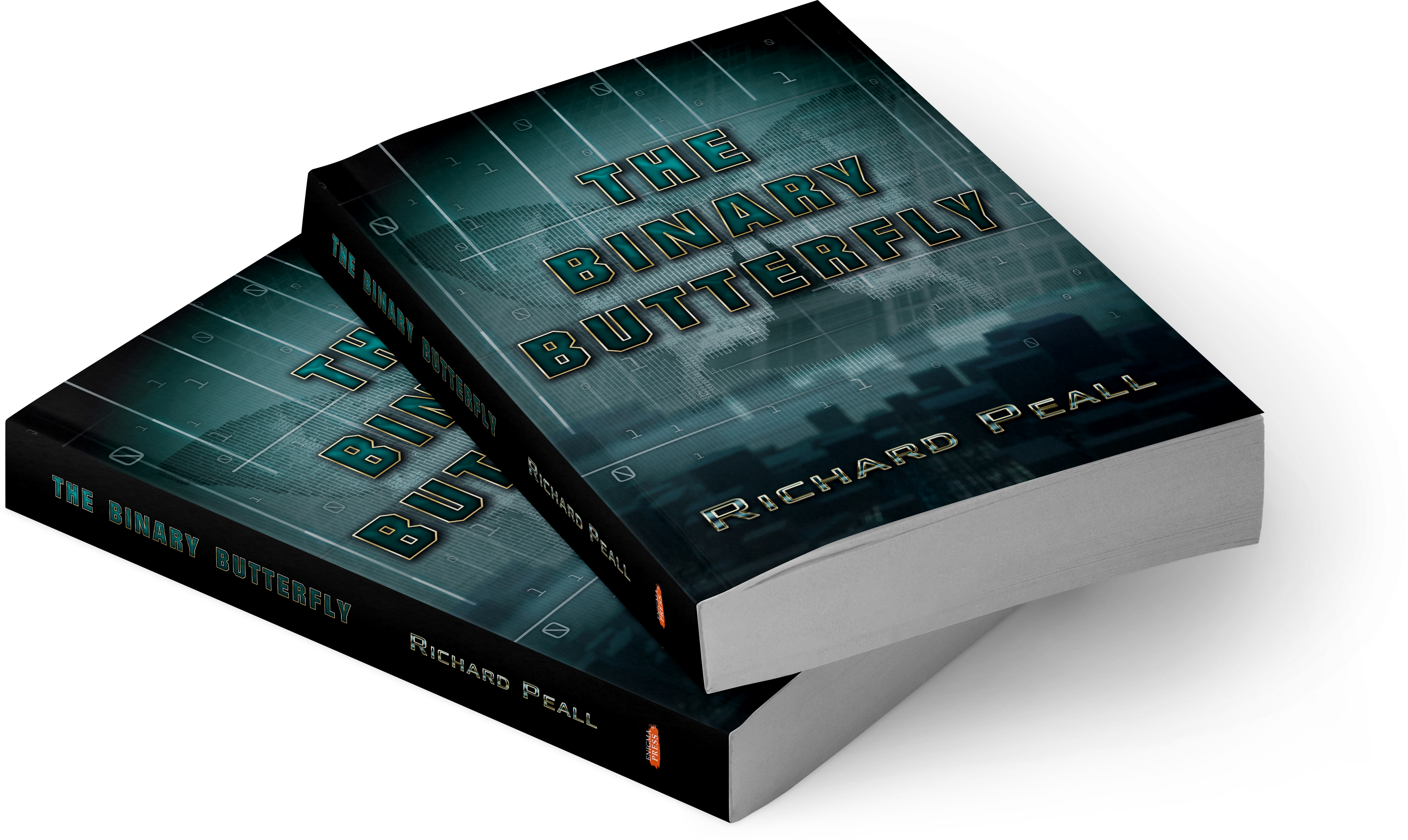 book: The Binary Butterfly